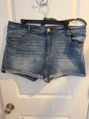 STS Blue Faded Indigo Frayed Hem Denim Shorts